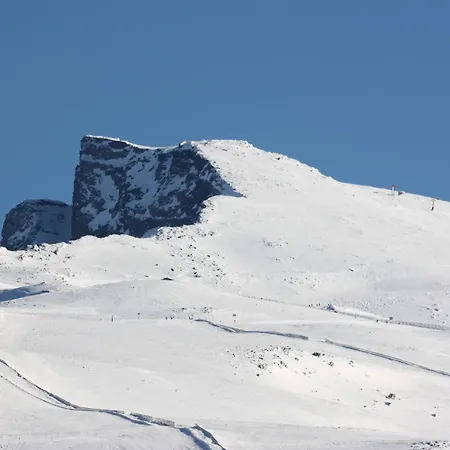 아파트 Presidente Double *