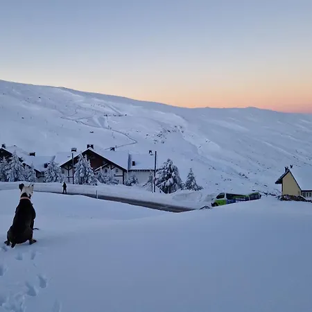 Presidente Double * Сьерра-Невада