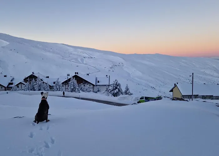 Presidente Double * Sierra Nevada